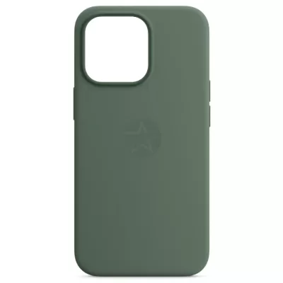 Чехол для iPhone 13 Pro App Silicone Case A With MagSafe (Eucalyptus)