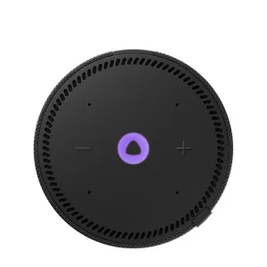 КОЛОНКА С ГОЛОСОВЫМ ПОМОЩНИКОМ ЯНДЕКС СТАНЦИЯ МИНИ ПЛЮС YNDX-00021 (черный)