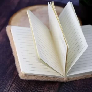 Блокнот плюшевый «Penguin», brown