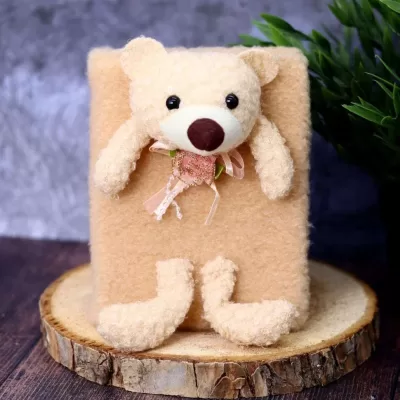 Блокнот плюшевый «Bear», brown