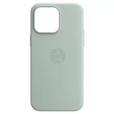 Чехол для iPhone 14 Pro Max App Silicone Case A With MagSafe (Succulent)