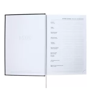 Ежедневник датированный 2024 года А5 168 листов "Вивелла", Черный