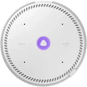 КОЛОНКА С ГОЛОСОВЫМ ПОМОЩНИКОМ ЯНДЕКС СТАНЦИЯ МИНИ 2 без часов (серый)