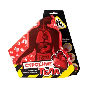Научно-познавательный набор "Строение тела", модели "Re-Агенты"