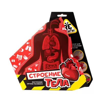 Научно-познавательный набор "Строение тела", модели "Re-Агенты"