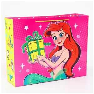 Пакет ламинат горизонтальный, Принцессы, 50 х 40 х 15 7425200
