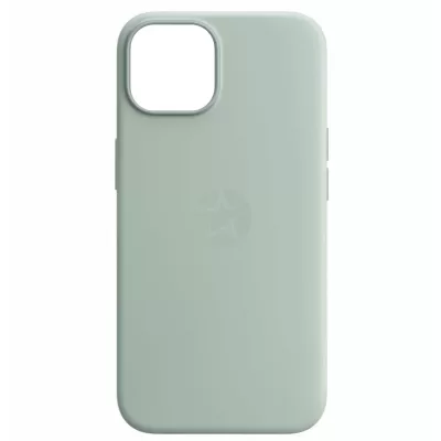 Чехол iP 14 App Silicone Case A With MagSafe (Succulent)