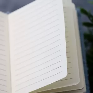 Блокнот плюшевый «Astronaut», grey