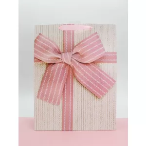 Подарочный пакет (M) "Holiday surprise", (18*24*8,5 см)