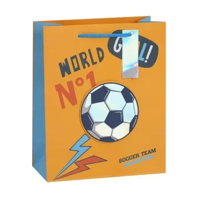 Пакет подарочный «Power», champion (18*23*10)