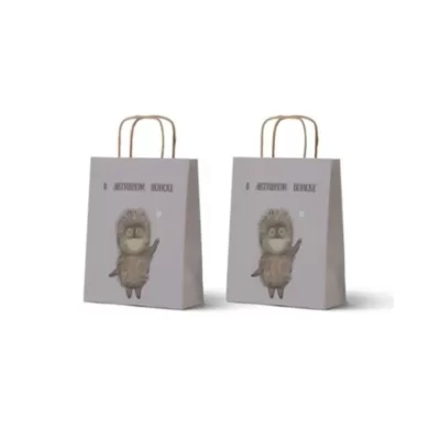 Пакет подарочный «Ёжик в тумане. В активном поиске», краф
