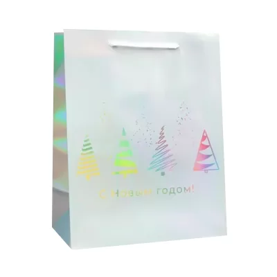 Пакет новогодний подарочный голографический «С Новым годом», 18×23×10 см