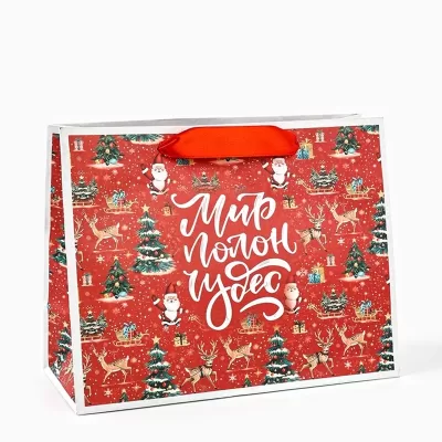 Пакет подарочный новогодний крафтовый, «Мир полон чудес», 23×18×10 см